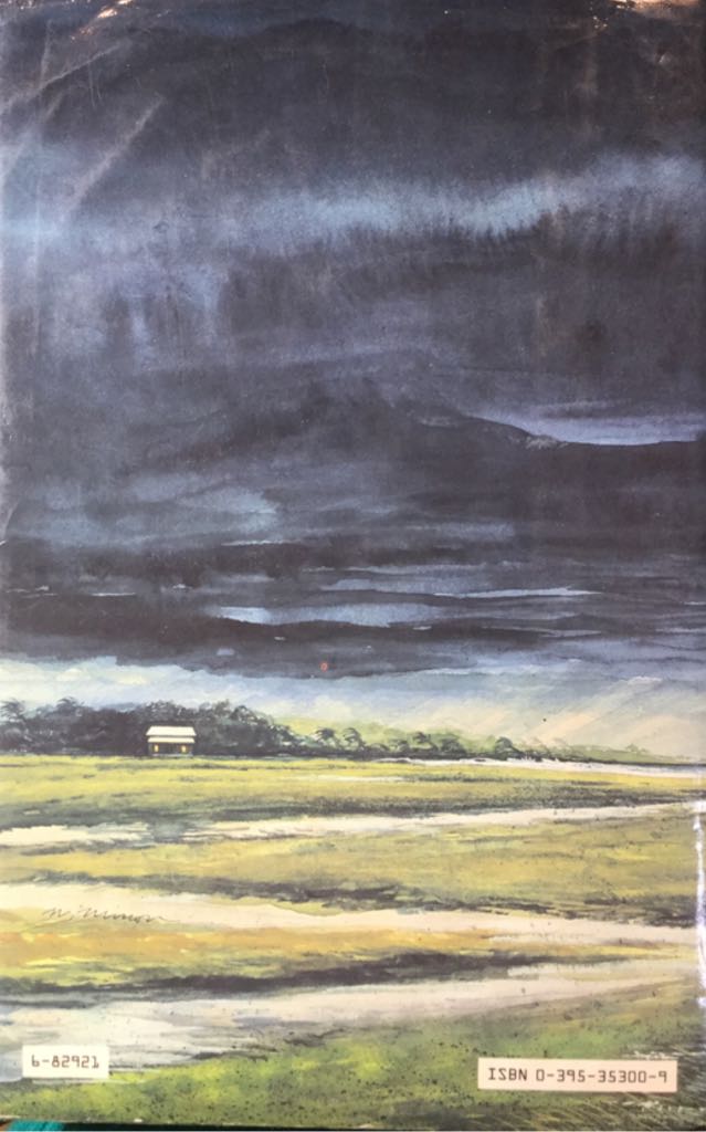 The Prince Of Tides - Pat Conroy (Houghton Mifflin Harcourt - Hardcover) book collectible [Barcode 9780395353004] - Main Image 2