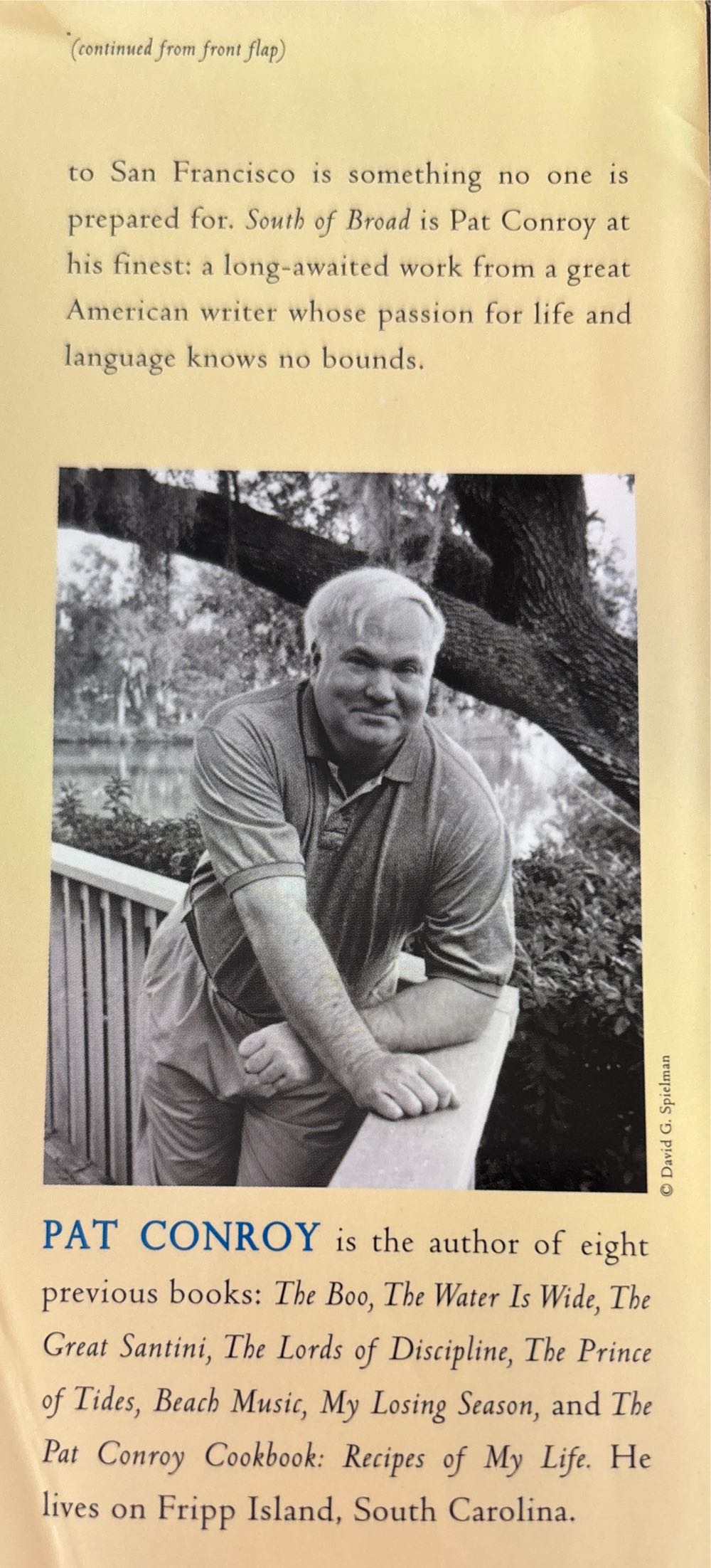 South Of Broad - Pat Conroy (Nan A. Talese / Doubleday - Hardcover) book collectible [Barcode 9780385413053] - Main Image 3