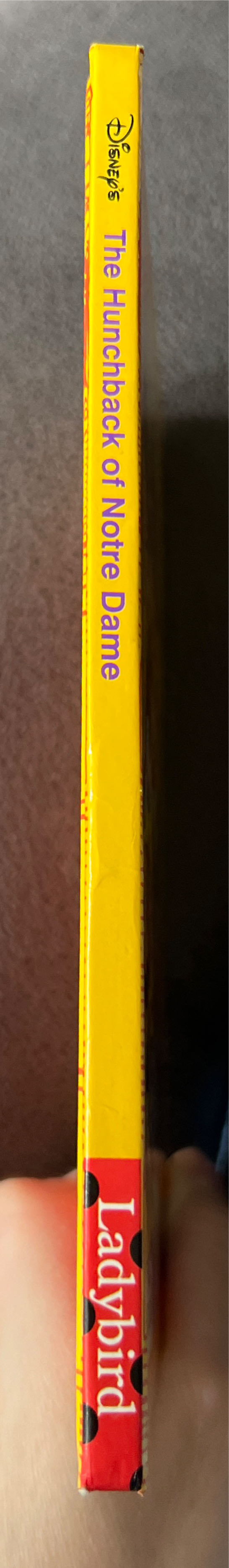 The Hunchback of Notre Dame - Victor Hugo (Ladybird) book collectible [Barcode 9780721436838] - Main Image 2