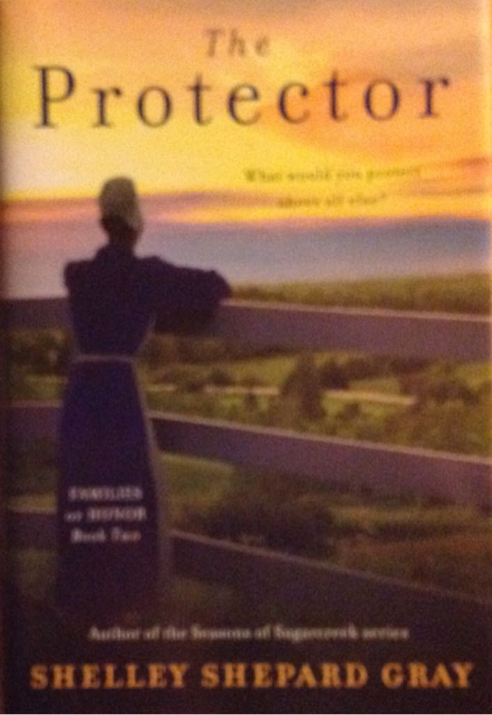 The Protector  (Avon Inspire - Hardcover) book collectible [Barcode 9781611299304] - Main Image 1