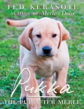 Pukka - The Pup After Merle - Ted Kerasote book collectible [Barcode 9780547386089] - Main Image 1