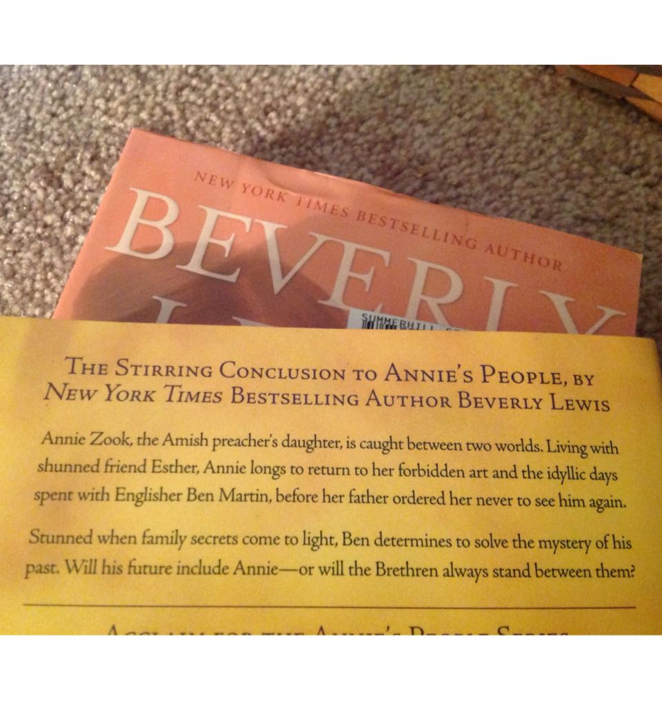 The Brethren - Beverly Lewis (Bethany House - Trade Paperback) book collectible [Barcode 9780764201073] - Main Image 2