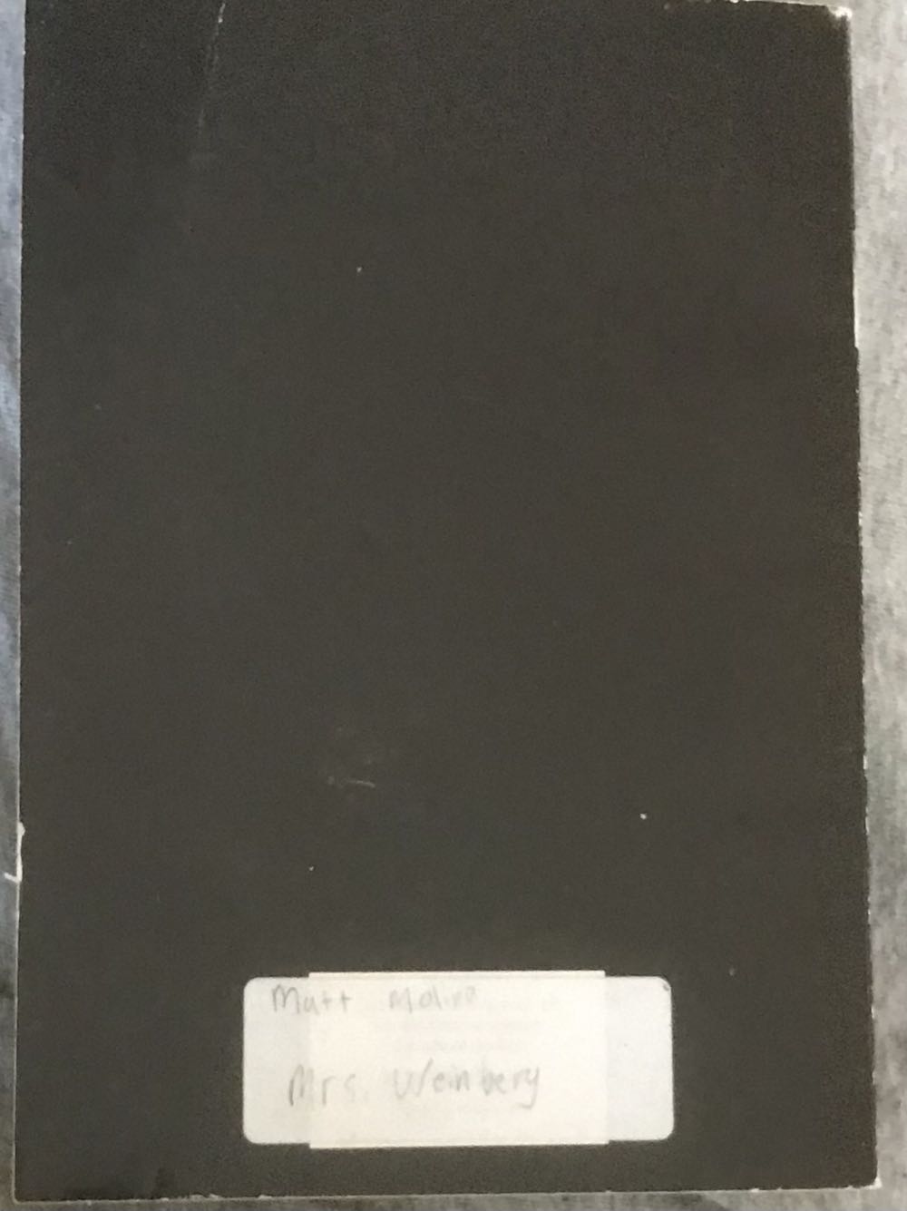 Touching Spirit Bear - Ben Mikaelsen (Scholastic Inc - Paperback) book collectible [Barcode 9780439401845] - Main Image 2