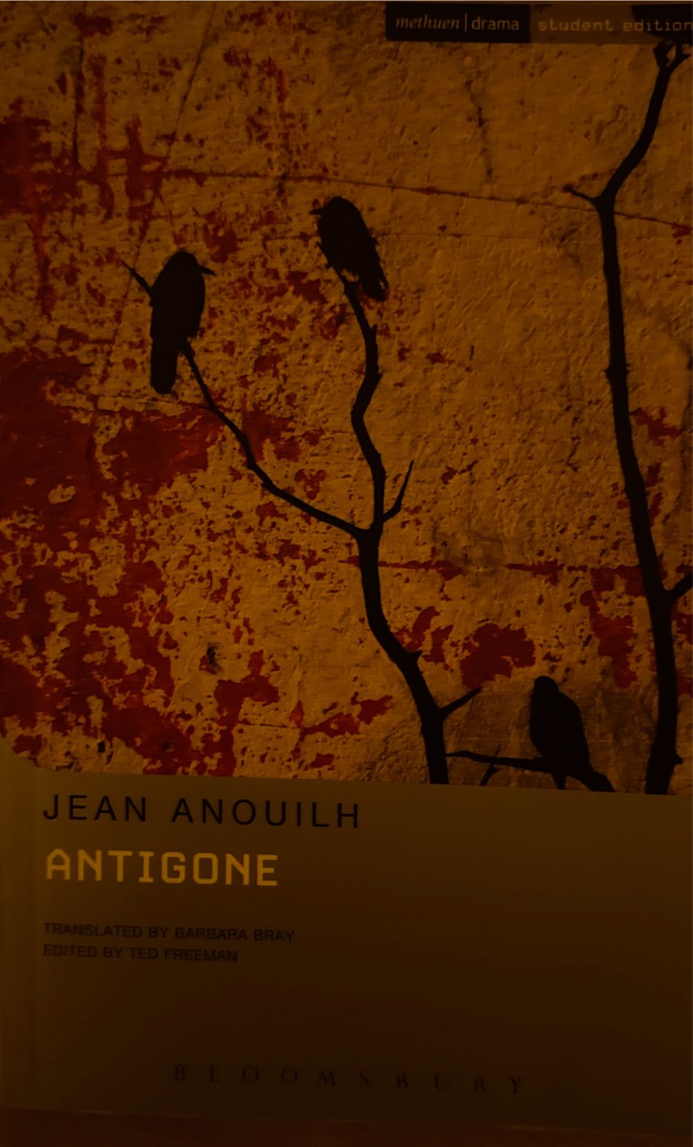 Antigone - Jean Anouilh (Bloomsbury Publishing Plc - Paperback) book collectible [Barcode 9780413695406] - Main Image 3