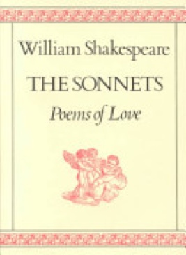 Looking For Alibrandi