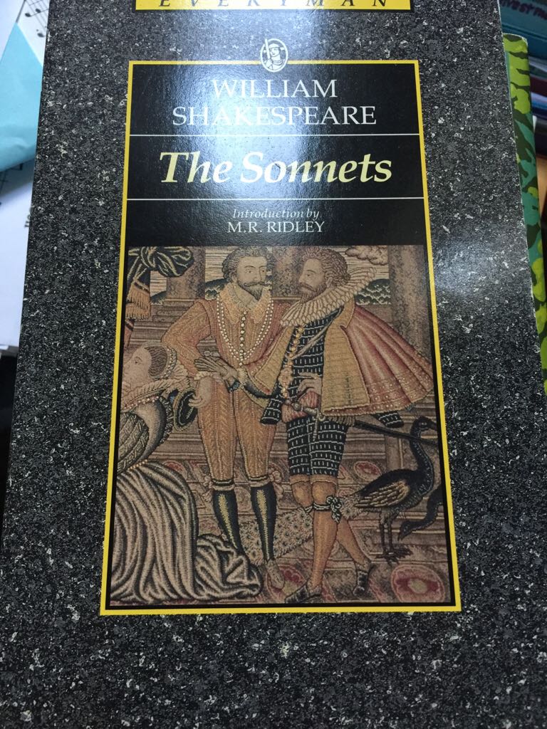 The Hunchback Of Notre Dame