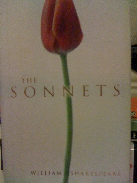 Die LÃ¼gen des George W. Bush