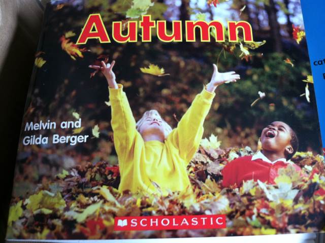 Autumn - David Moody (Scholastic - Paperback) book collectible [Barcode 9780439678957] - Main Image 1