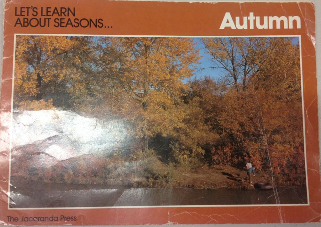 Manual Of The Warrior Of Light