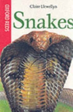 Image 3591920
