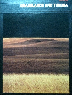 Zwischen Nacht und Dunkel