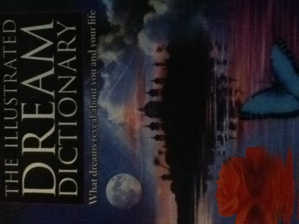 The Illustrated Dream Dictionary - Pamela Ball (Metro Books New York - Paperback) book collectible [Barcode 9781435108011] - Main Image 1