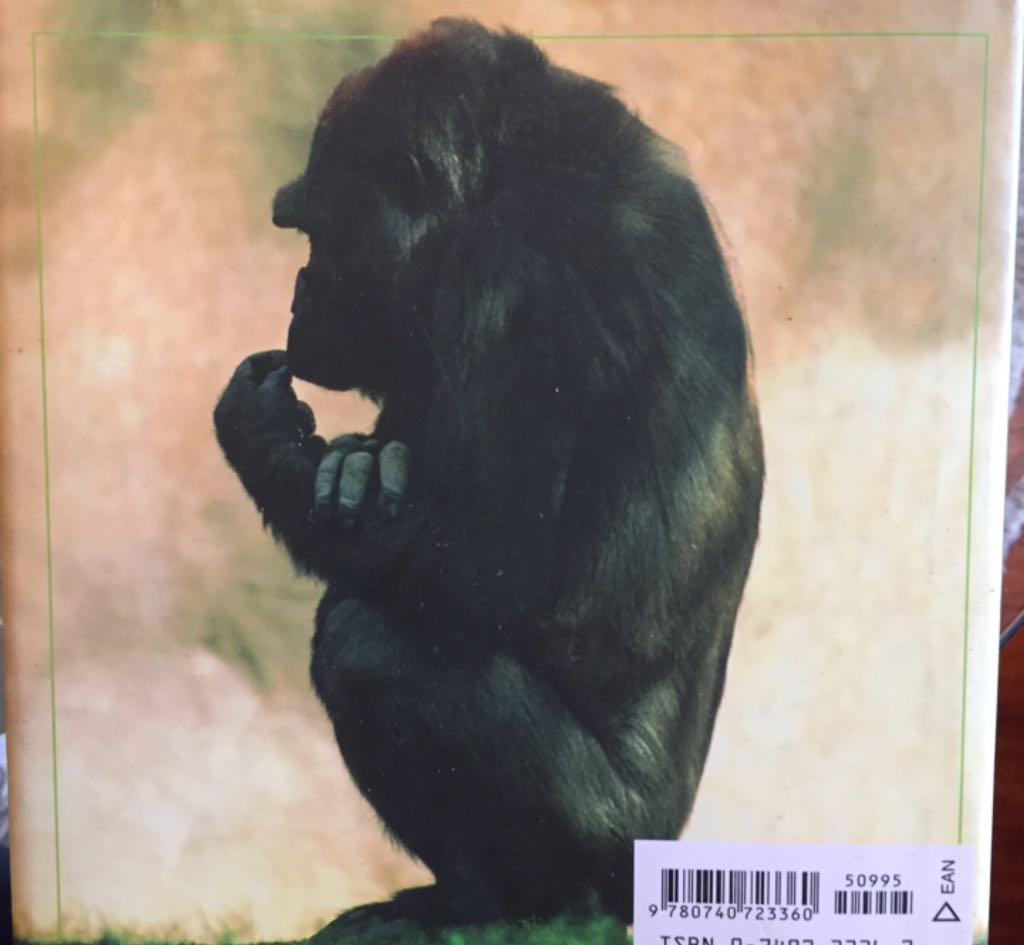 The Meaning Of Life - Messerly, John (Andrews Mc Meel Publishing Co. - eBook) book collectible [Barcode 9780740723360] - Main Image 2