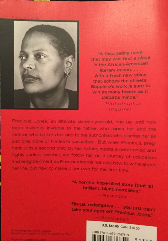 Push - Sapphire (Vintage Contemporaries - Trade Paperback) book collectible [Barcode 9780679766759] - Main Image 2