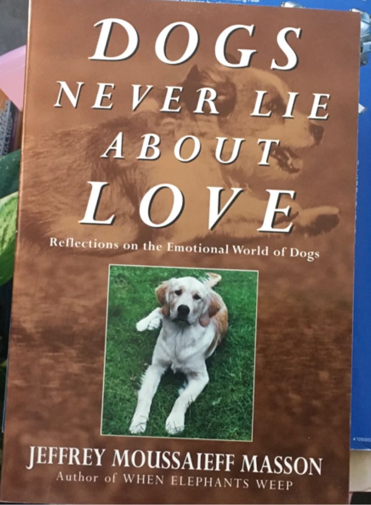 Chronicles Of Avonlea