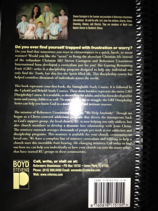 Stronghold  (Boyd Stevens) book collectible [Barcode 9780976175155] - Main Image 2