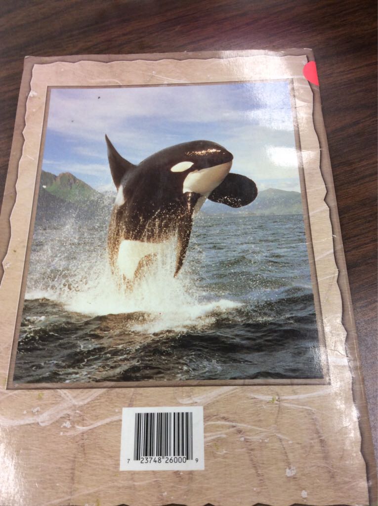 Alaskan Wildlife  book collectible [Barcode 9781569440902] - Main Image 2