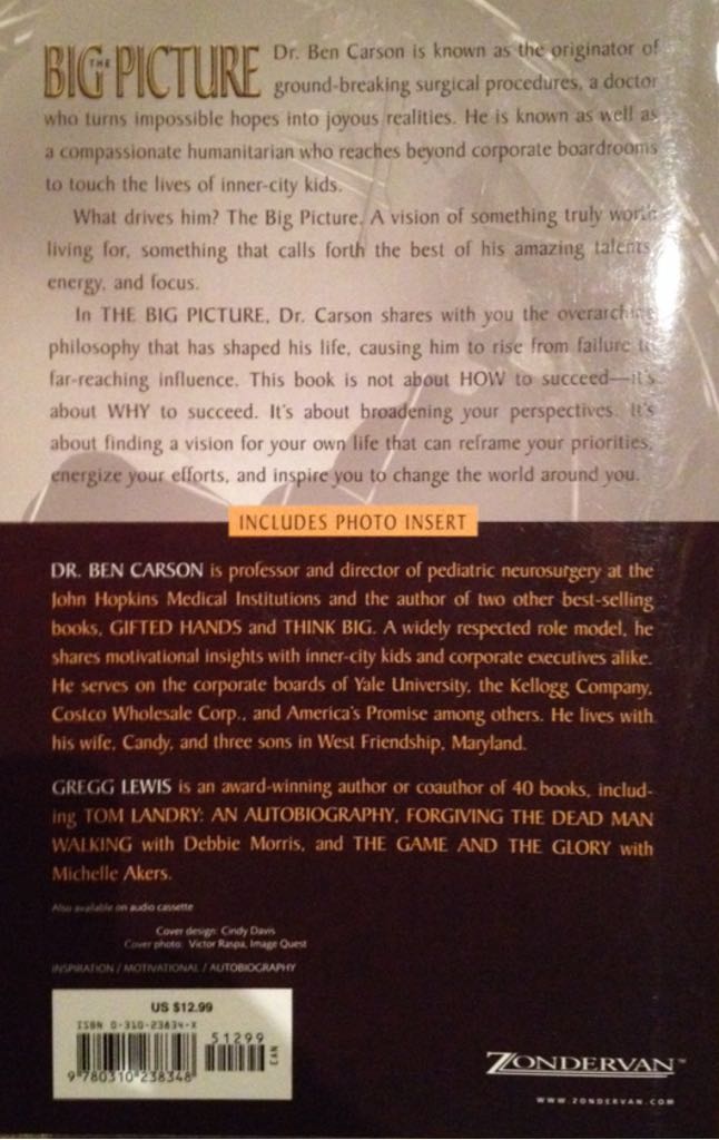 The Big Picture - A. Whitney Brown (Zondervan - Paperback) book collectible [Barcode 9780310238348] - Main Image 2