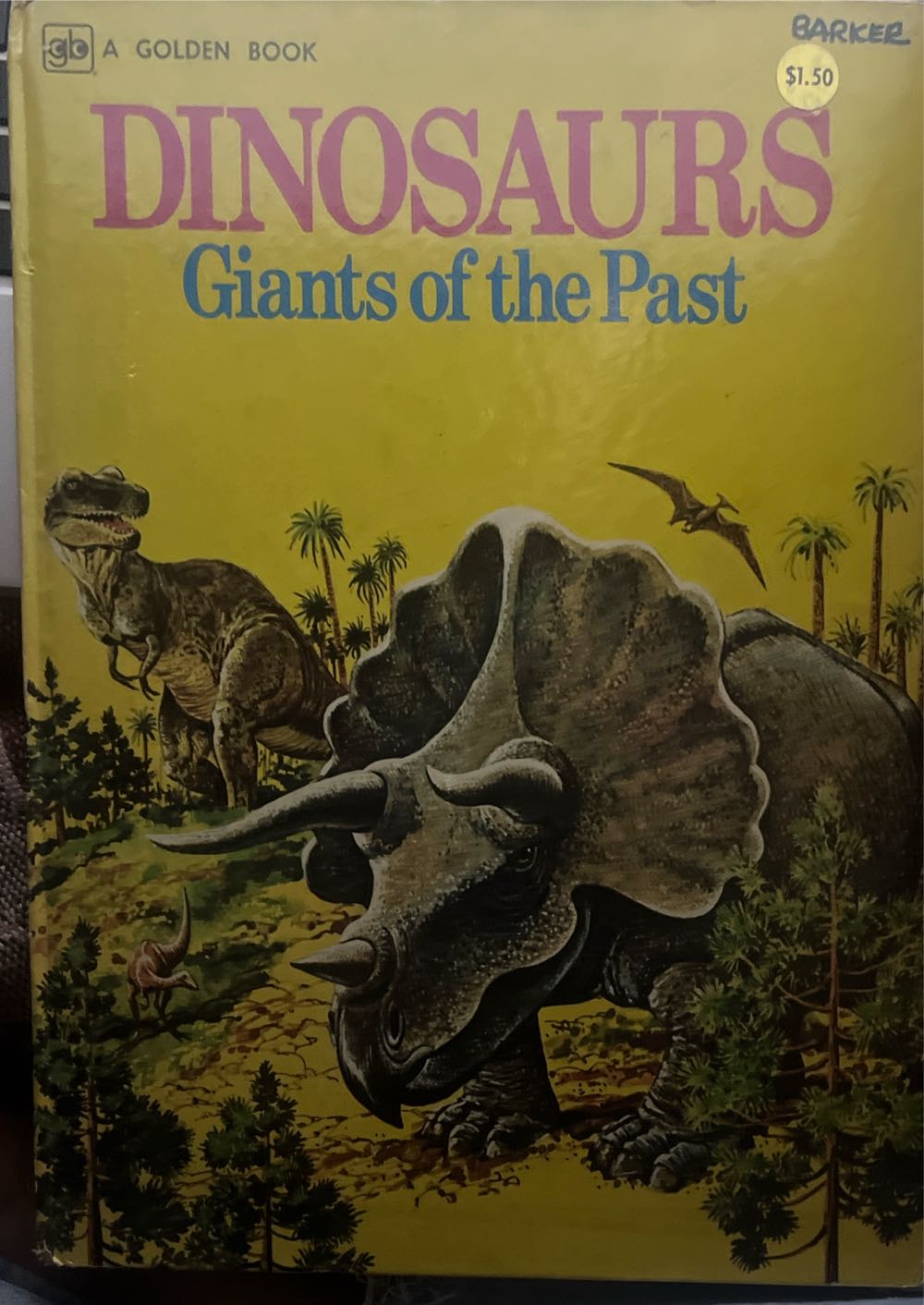 Anne Of Windy Willows