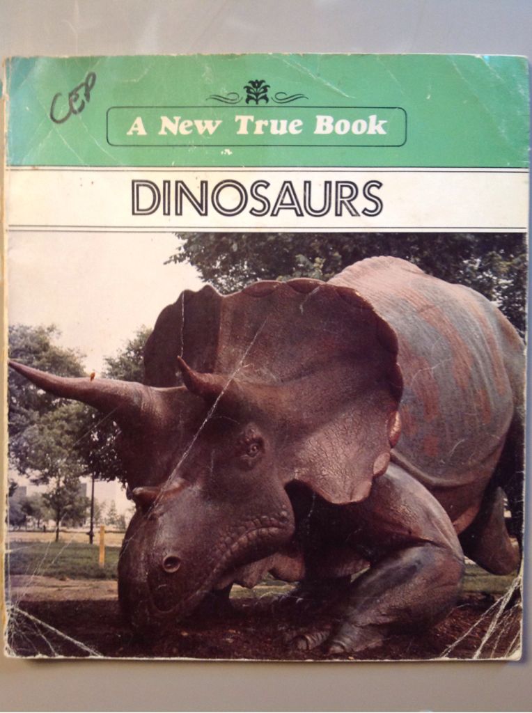 Magic die Zusammenkunft - Das verwunschene Land