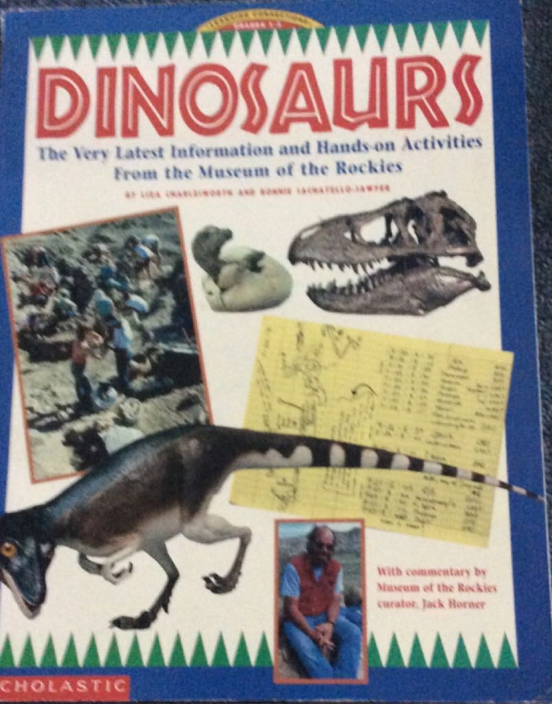 Anne Of Windy Willows