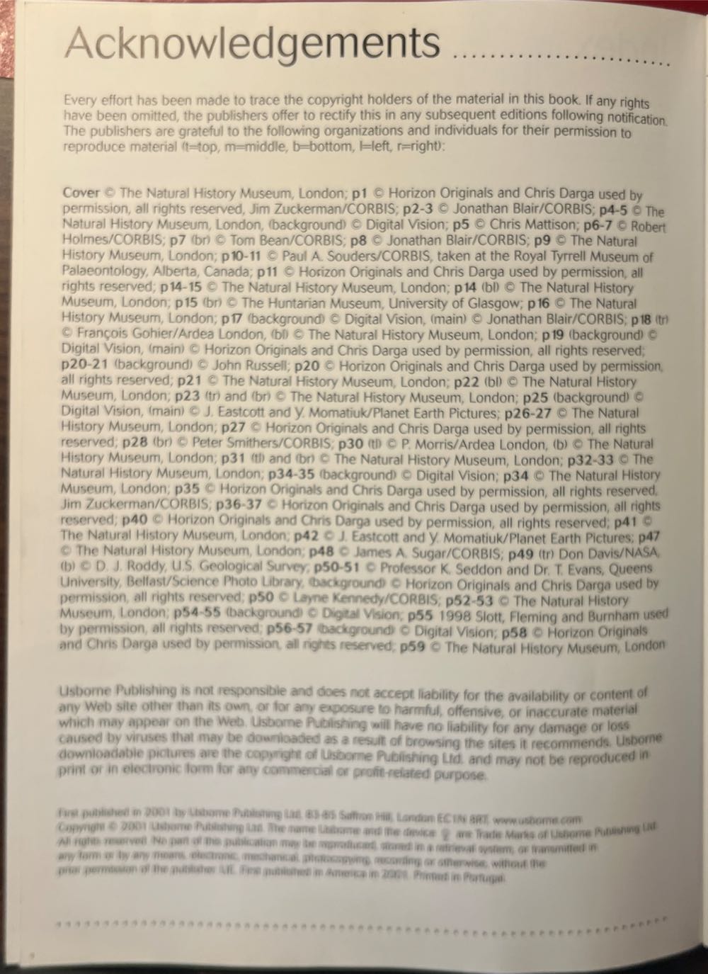 Dinosaurs - Rachel Firth (Usborne Publishing Ltd. - Paperback) book collectible [Barcode 9780794500245] - Main Image 3