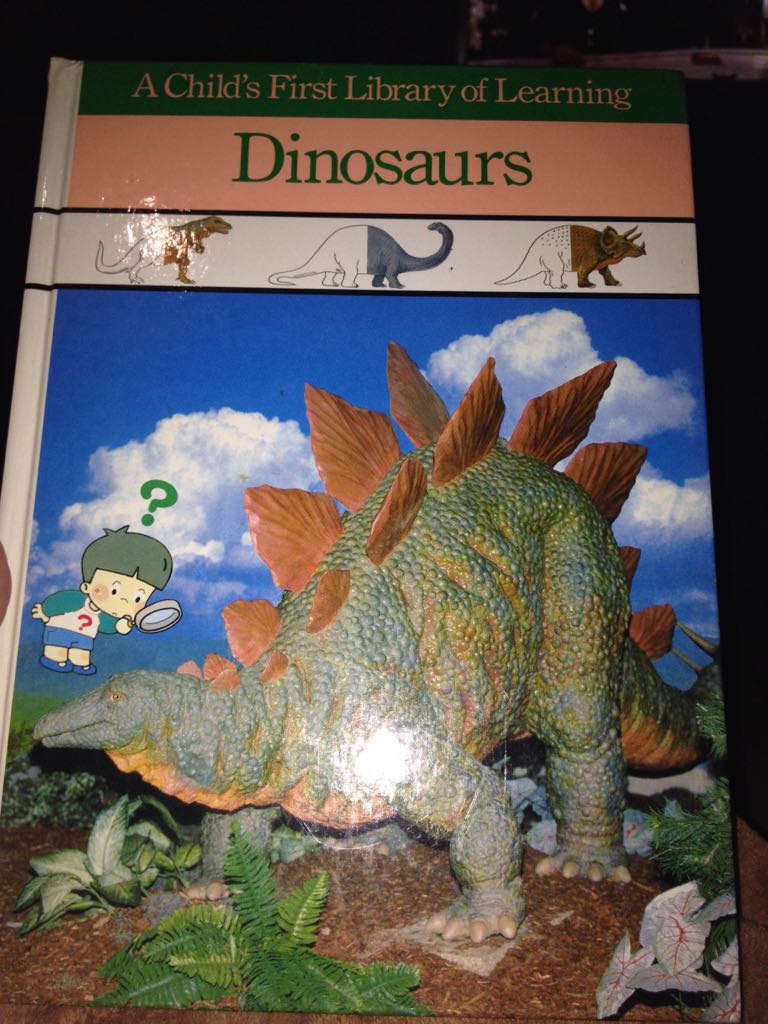 Canyon de Chelly National Monument