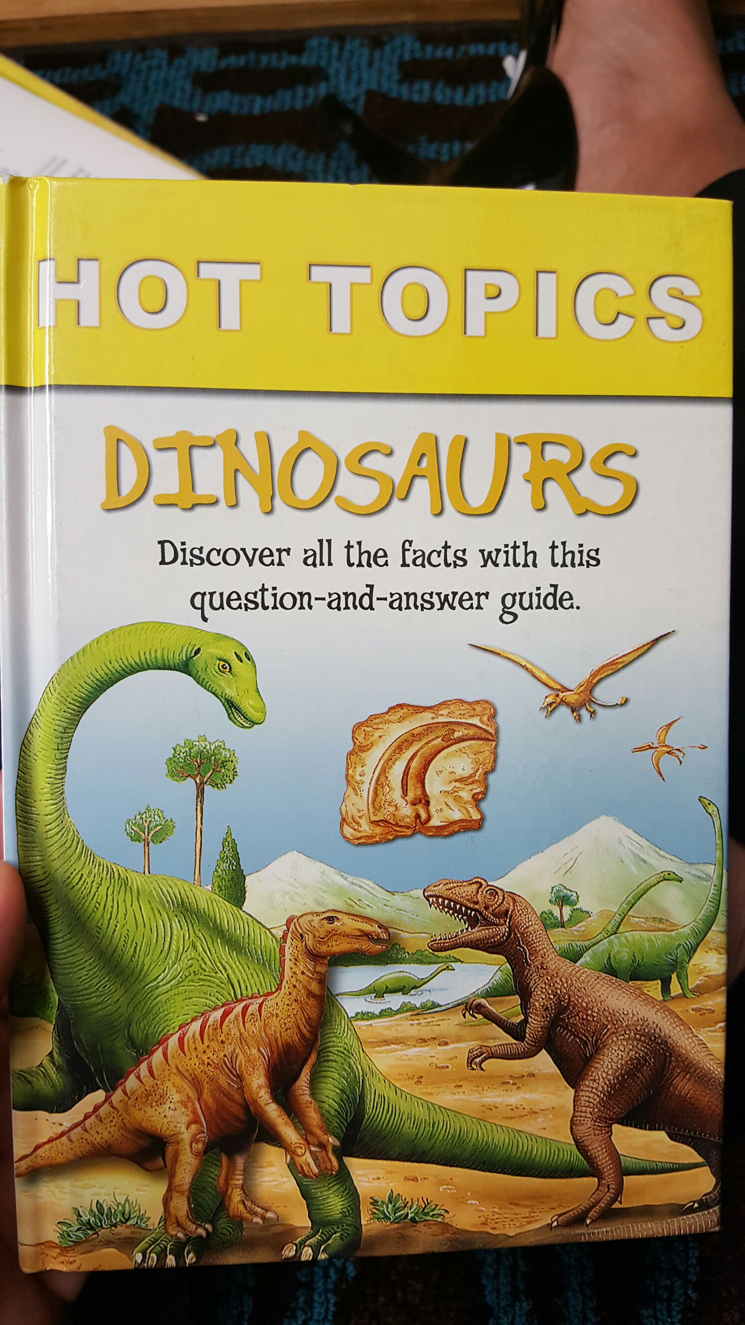 Lilien im Sommerwind