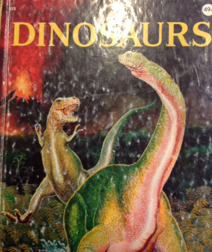Image 3593724