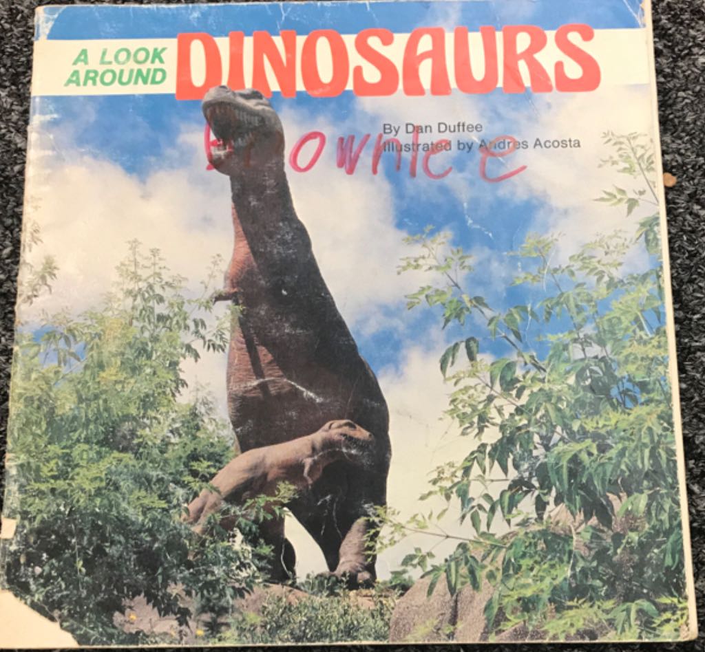 Image 3593734