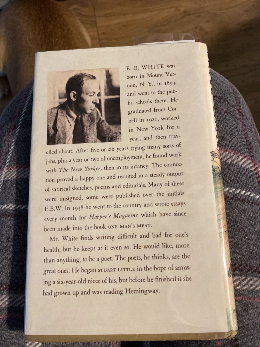 Stuart Little - E.B. White (Harper & Brothers Publishers - Hardcover) book collectible - Main Image 2
