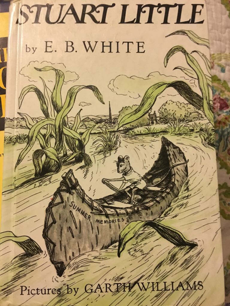 Feel The Fear And Do It Anyway