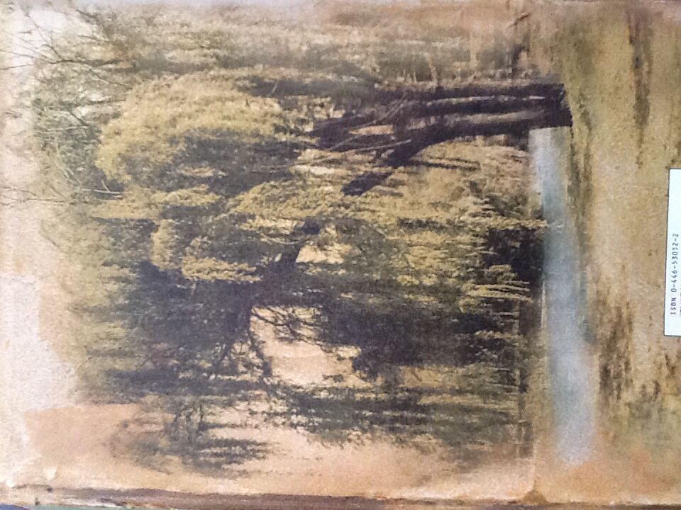 Cane River - Lalita Tademy (Warner Books, Inc. - Hardcover) book collectible [Barcode 9780446530521] - Main Image 2