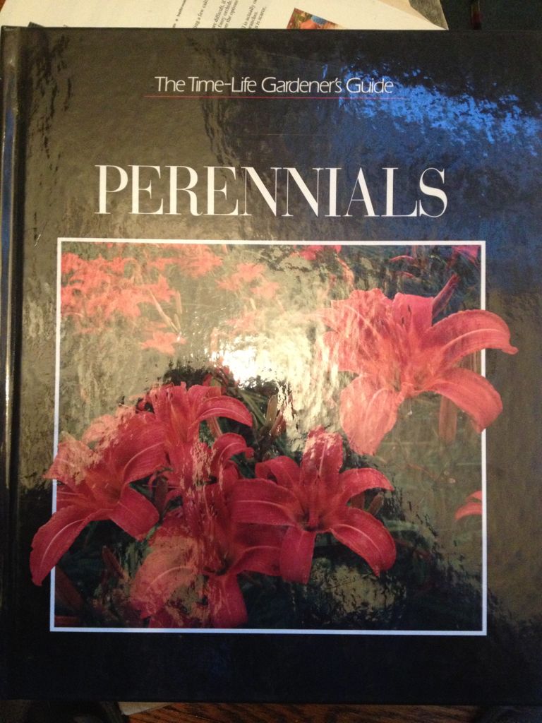 A Biddable Girl? Emma And The Earl and The Cyprians Sister