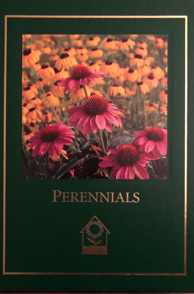 The Rise And Fall Of The Third Reich