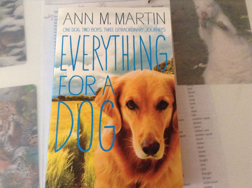 Image 3594554