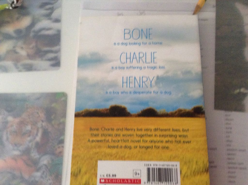 Everything For A Dog  book collectible [Barcode 9781407129068] - Main Image 2