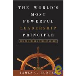 Lilien im Sommerwind