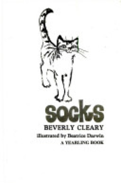 Rotary Wing Aerodynamics