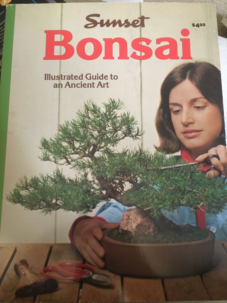 Image 3595666