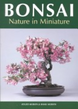 Wie Sommerregen in der WÃ¼ste