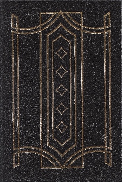 The Beginners Guide To Wriring A Novel