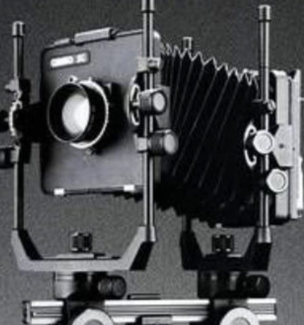 The 17 Essential Qualities of a Team Player