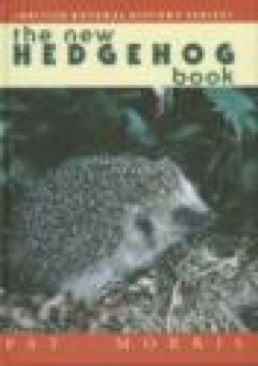 Marie Curie - Mother Of Modern Physics