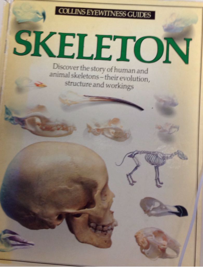 Image 3597795