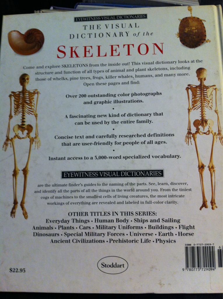 Skeleton  (DK Eyewitness Books - Hardcover) book collectible [Barcode 9780773729094] - Main Image 2