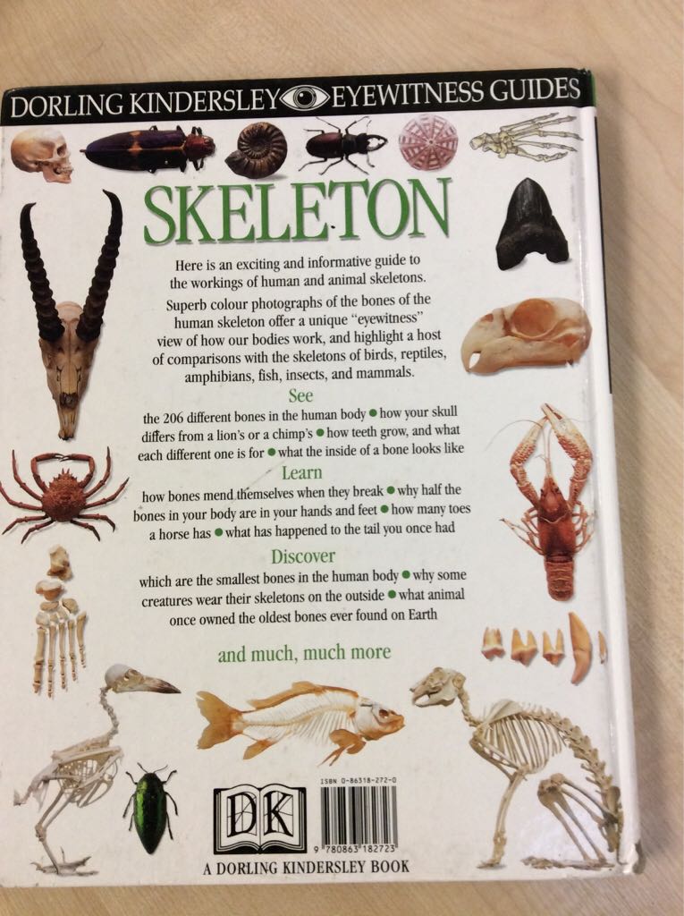 Skeleton  book collectible [Barcode 9780863182723] - Main Image 2