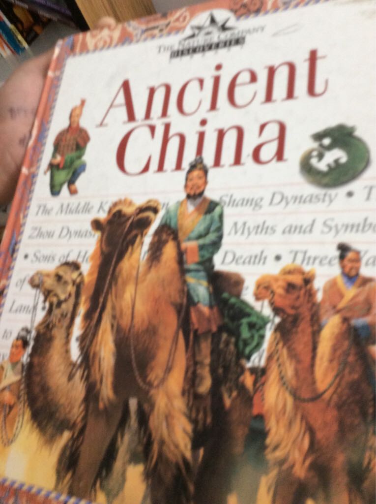 Image 3597824