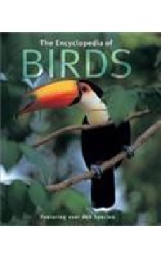 Abschied vom Kinderwunsch