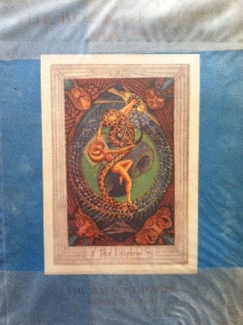 Image 3599049